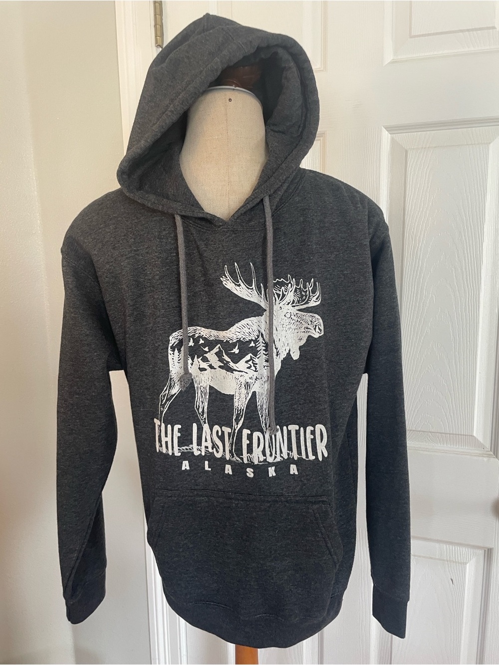 The Last Frontier Alaska Graphic Hoodie sweatshirt nwots grey men women size M